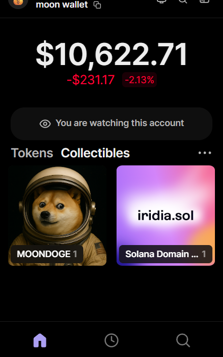 The lunar Solana wallet holding the MOONDOGE 1/1 NFT